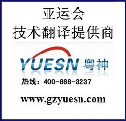 专业翻译与礼仪服务